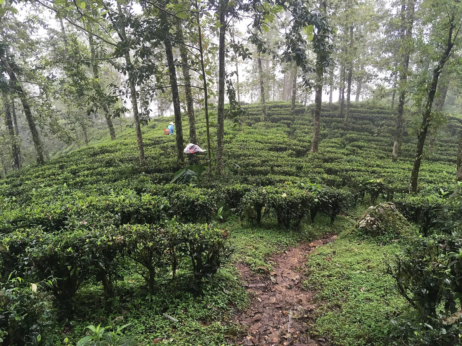 Quảng trường Đại Đoàn Kết Pleiku