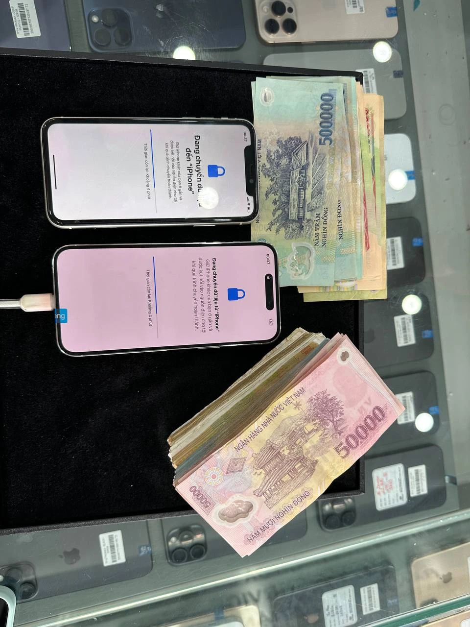 Hoàn tất chuyển dữ liệu, Apple 123 chúc khách hàng có trải nghiệm iPhone mới thật mượt mà và đẳng cấp.